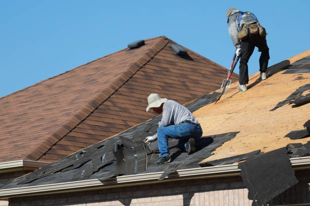 Best Commercial Roofing Services  in Maury, NC