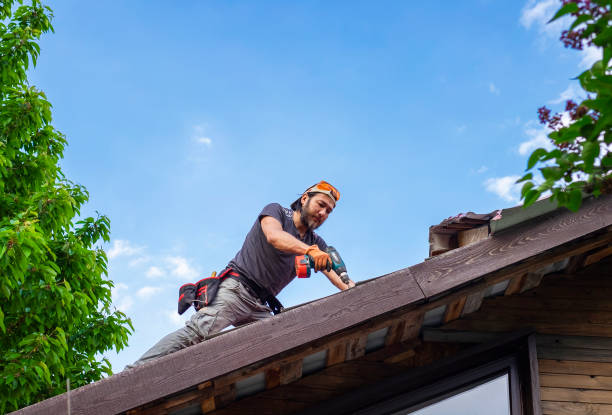 Best Skylight Installation and Repair  in Maury, NC