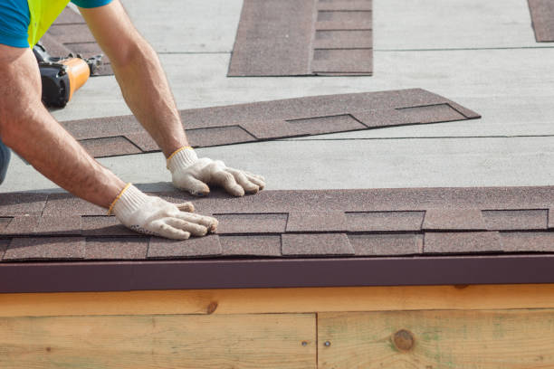 Best Asphalt Shingle Roofing  in Maury, NC